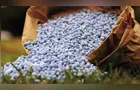 Fertilizantes sobem até 20% nos portos brasileiros no fim de janeiro de 2026