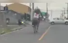 Motorista flagra momento que cavalo colide com motocicleta em Curitiba
