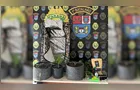 PM é acionada em caso de ameaça e encontra plantas de maconha em residência de PG