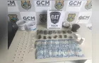 GCM apreende drogas, pé de maconha e dinheiro após denúncia em Ponta Grossa