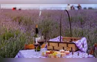 ‘Het Dorp’ une lavanda, gastronomia e cultura holandesa em Carambeí