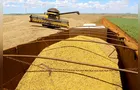 Produção de soja no Paraguai pode bater recorde e chegar a 11,53 milhões de toneladas