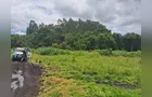 Proprietário é multado por desmatamento irregular em São Mateus do Sul