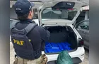 Polícia Rodoviária Federal apreende cerca de 125 kg de maconha em Irati