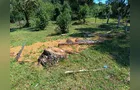 Dono de terreno usa madeira de corte irregular para construir casa e é multado no PR