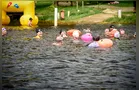 Aulão de Natação em Águas Abertas acontece neste domingo em Ponta Grossa