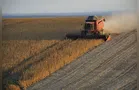 Colheita da soja 2025/26 atinge 37% da área total no Paraná