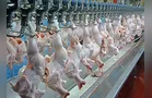 Conflito no Oriente Médio pode afetar exportação de carnes do Brasil