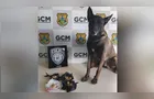 Cão Bolt localiza 200g de crack próximo a córrego no 'Boa Vista' em PG