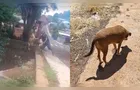 Homem flagrado jogando cachorro em riacho é preso novamente no PR