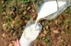 Preço do leite sobe após nove meses de queda consecutiva