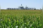 Brasil pode ser protagonista na produção de etanol de milho