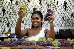 A feira acontece em um período estratégico, quando a uva está em plena fase de maturação