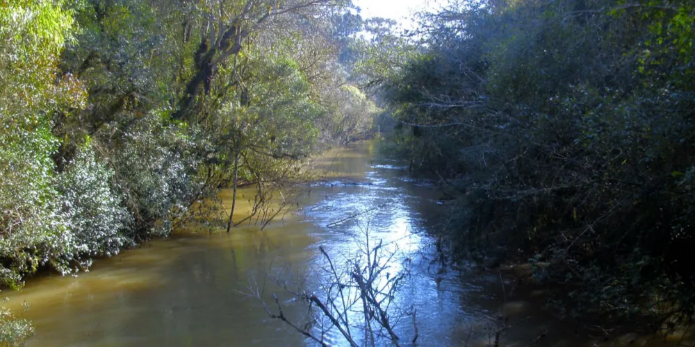 Ações serão realizadas em mais de 900 hectares da área