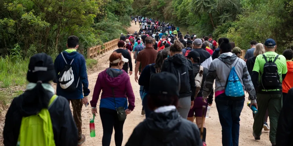 Caminhada na Natureza