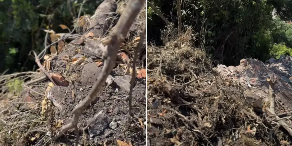 Equipes já abriram um processo administrativo contra o responsável pelo descarte irregular