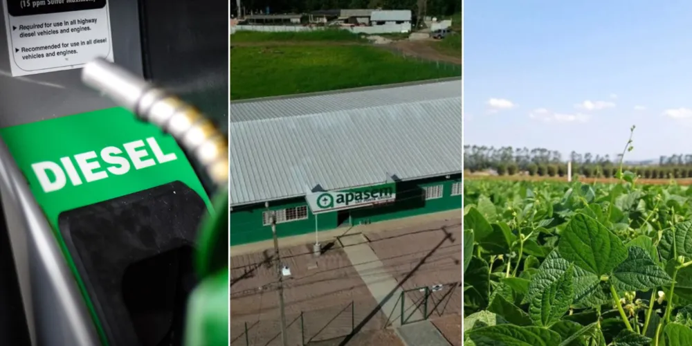 Imagem ilustrativa da imagem Confira as principais notícias do agronegócio da manhã desta quinta em PG e região