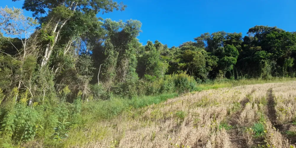 A infração resultou na aplicação de multa no valor de R$ 5.500