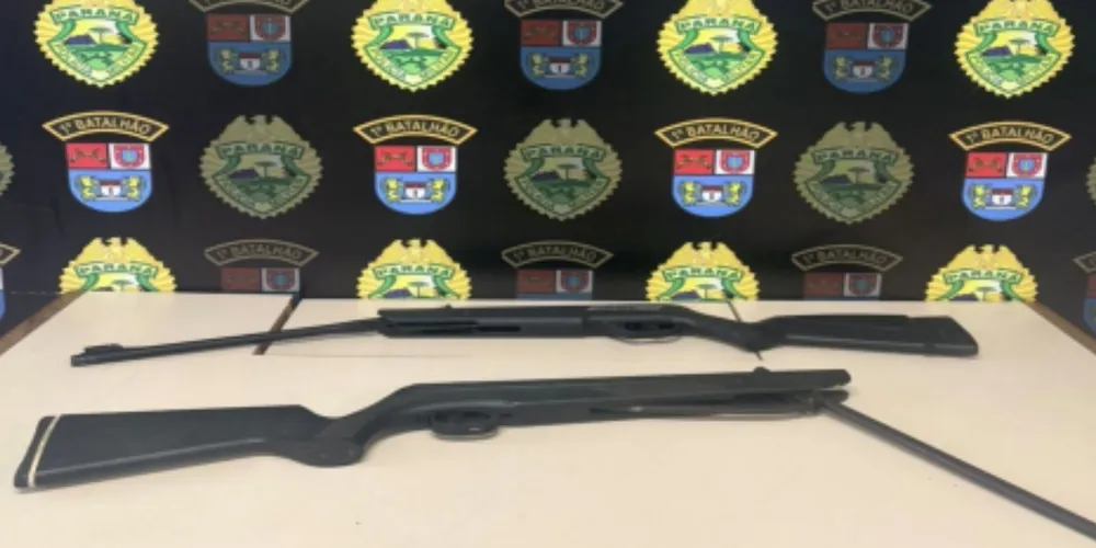 As armas foram apreendidas