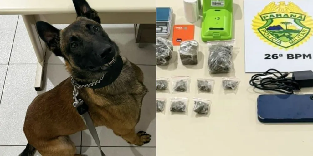 Drogas, materiais e suspeito foram apreendidos pela PM