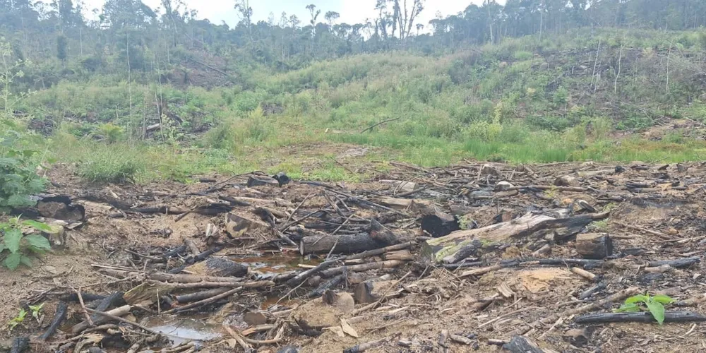 Localidade de Alemainha