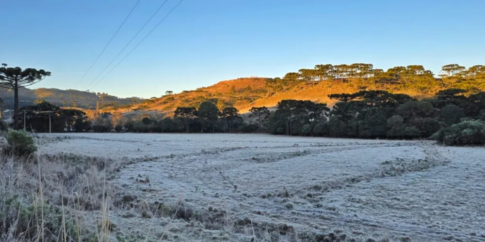 Cidades amanheceram com fortes geadas