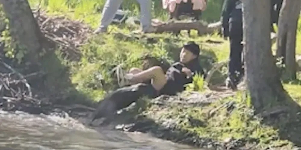 Menino atacado por castor
