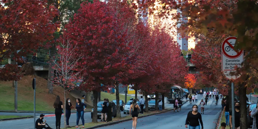 No outono de 2026, entretanto, a previsão do Simepar aponta que os valores acumulados de chuva ficarão acima da média histórica