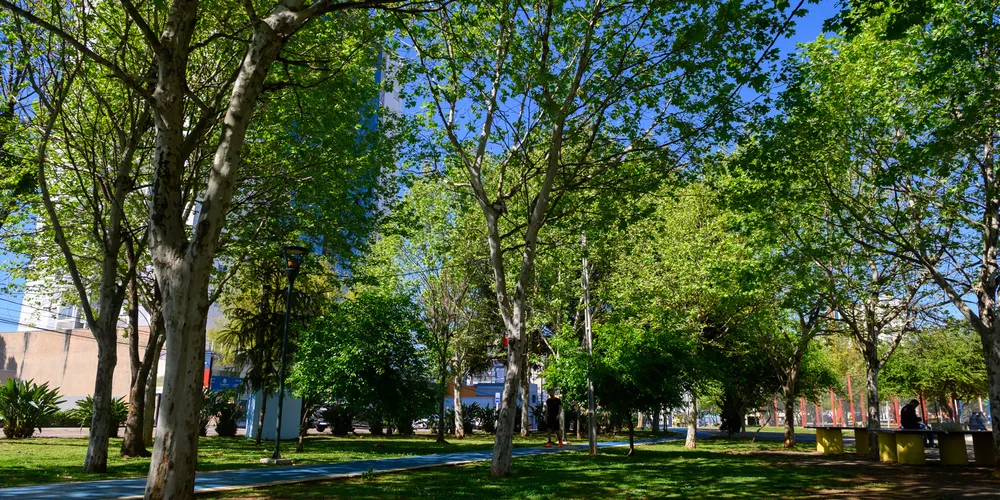 Parque Ambiental Governador Manoel Ribas, em Ponta Grossa