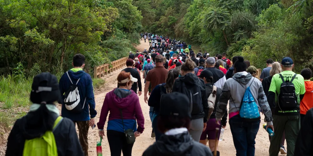 Caminhada na Natureza