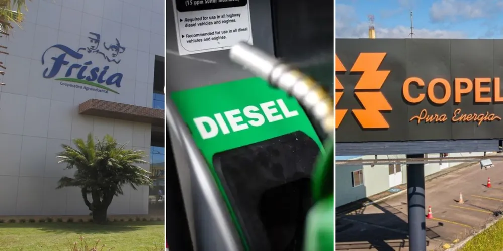 Imagem ilustrativa da imagem Confira as principais notícias do agronegócio da manhã desta quarta em PG e região