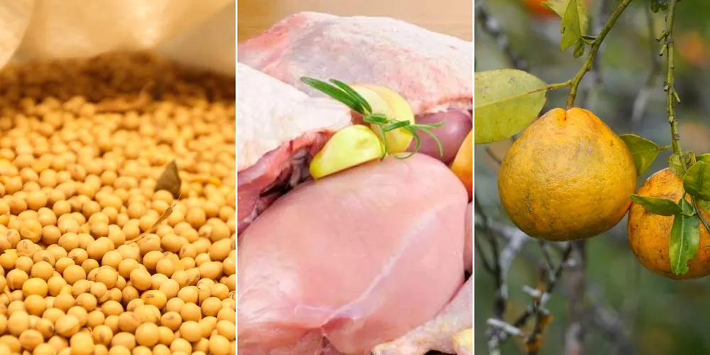 Imagem ilustrativa da imagem Confira as principais notícias do agronegócio da manhã desta segunda em PG e região