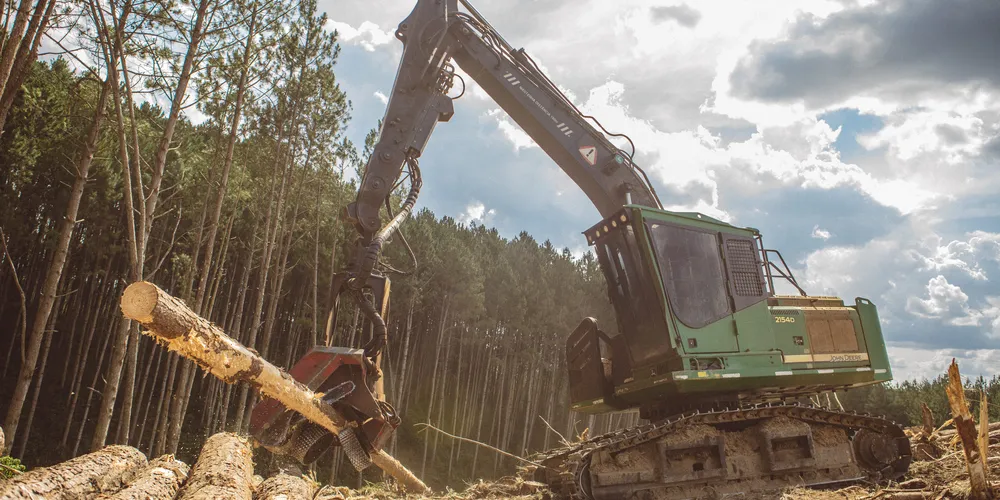 Investimento será realizado na unidade de Itaiacoca, onde a empresa possui grande parte de suas florestas