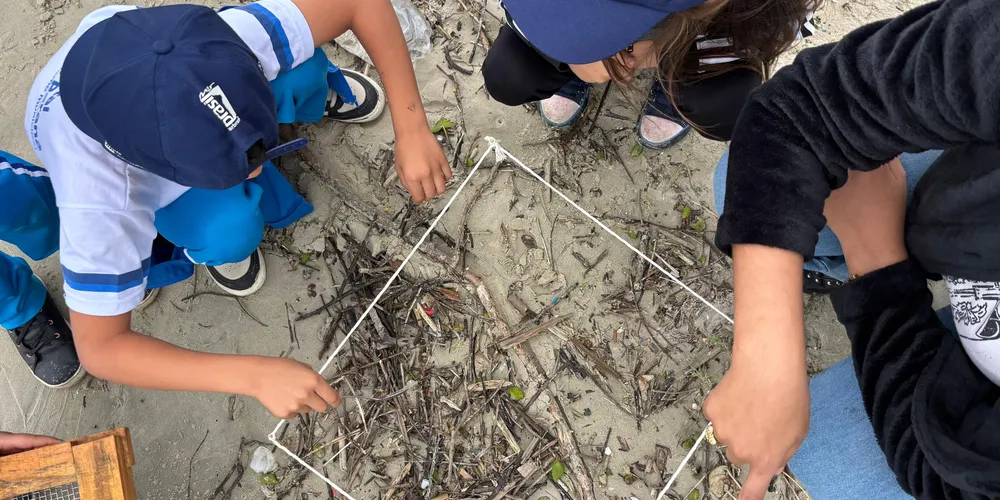 a Olimpíada do Oceano se consolida como um movimento educacional capaz de conectar jovens e educadores aos desafios socioambientais do oceano