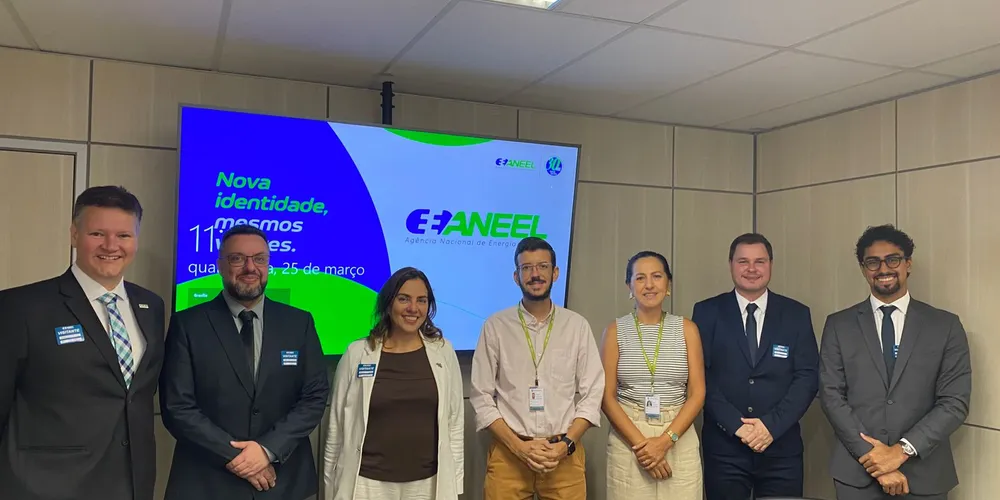 Os membros da Acipg junto a agentes da Agência Nacional de Energia Elétrica (Aneel), em Brasília