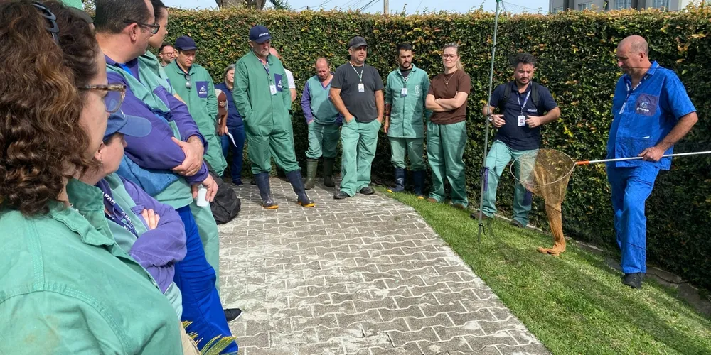 Ação visa fortalecer o diagnóstico de doenças como a raiva e a EEB no rebanho paranaense