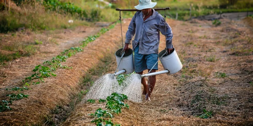 Pequenos produtores rurais mantêm alíquotas atuais de contribuição, garantindo recursos para investimentos em produtividade e máquinas na safra 2026