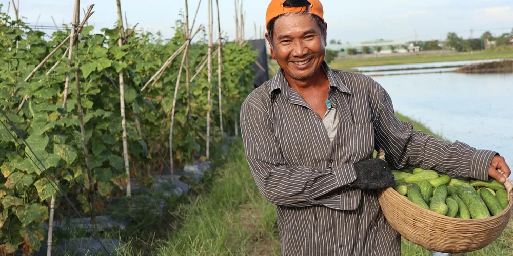Soja segue como o principal motor do faturamento bruto do agronegócio, representando sozinha mais de R$ 332 bilhões do VBP nacional em 2026