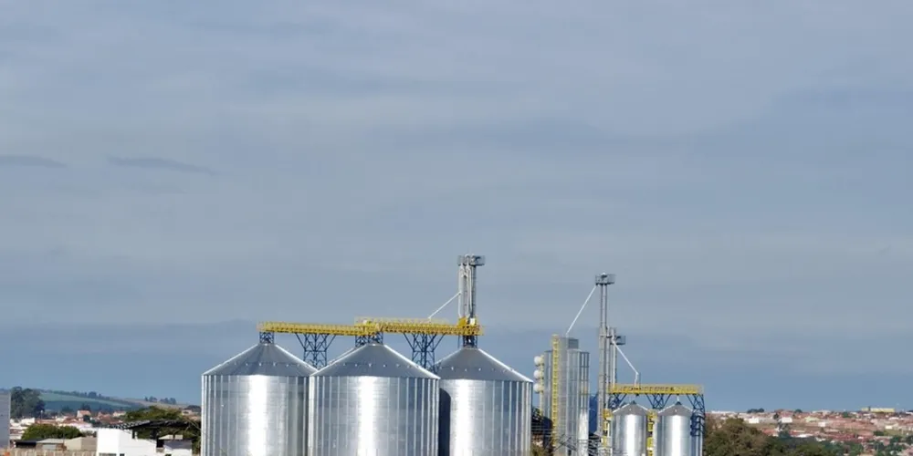 Produção agroindustrial brasileira registra perda de ritmo em fevereiro; retração em insumos e proteínas animais pesou no índice geral
