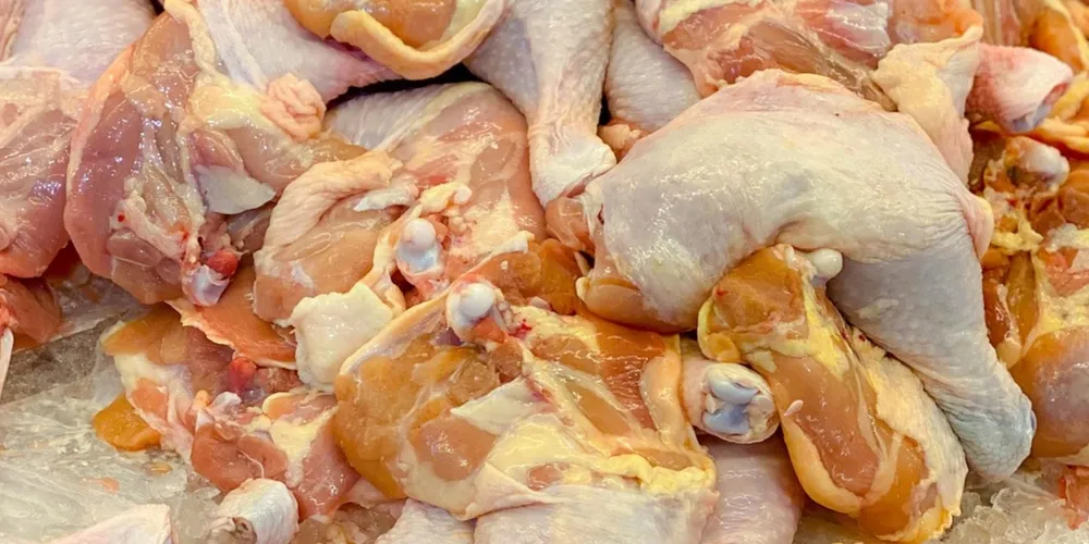 Operação logística em porto brasileiro prepara o embarque de produtos cárneos para os novos mercados conquistados no sudeste asiático e na África