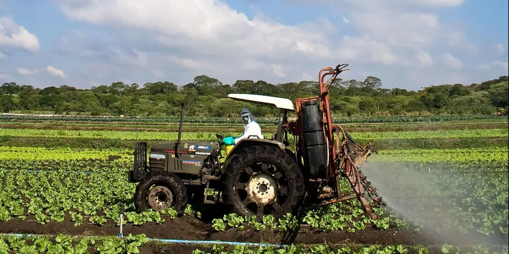 Máquina agrícola faz a pulverização com agrotóxicos em plantação de alface