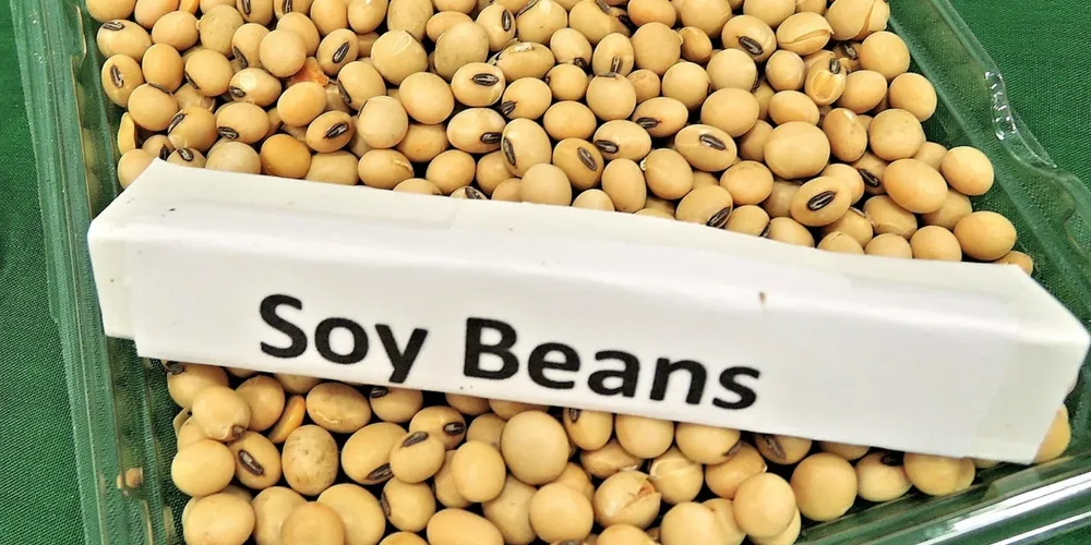 Brasil utiliza oferta de safra recorde para manter ritmo acelerado de embarques nos principais portos do país