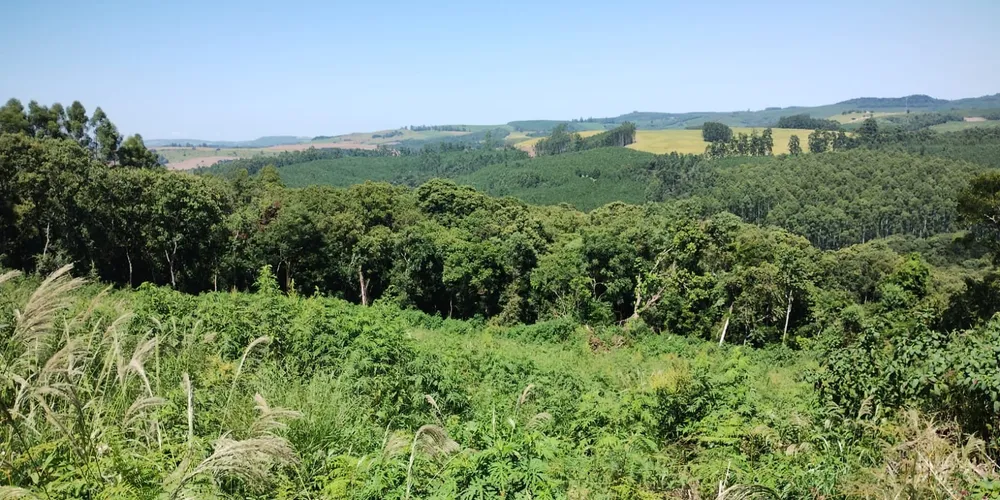 Área desmatada em zona rural de Ortigueira