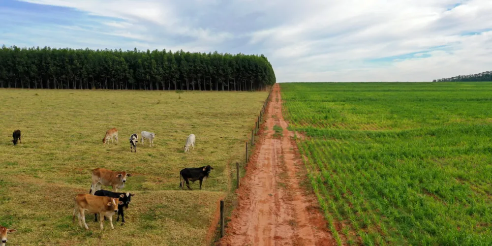 Crime aconteceu no sábado (25)