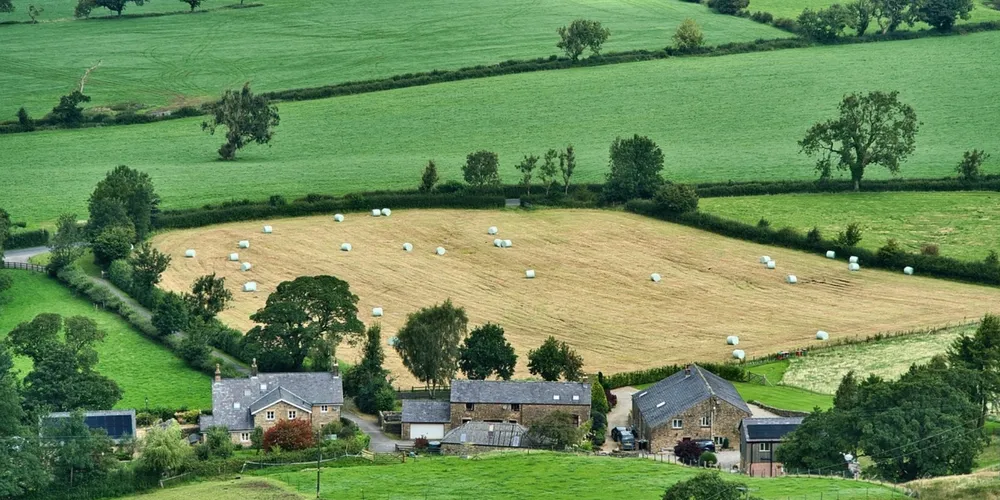 Com a nova norma, o cruzamento de dados de satélite do sistema Prodes torna-se etapa obrigatória para a aprovação de custeio e investimento agrícola