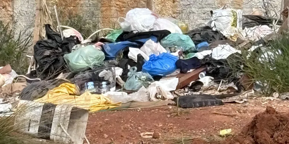 O acúmulo de lixo e abandono de animais se tornou um problema de segurança e saúde pública no bairro Belo Monte, em Ponta Grossa