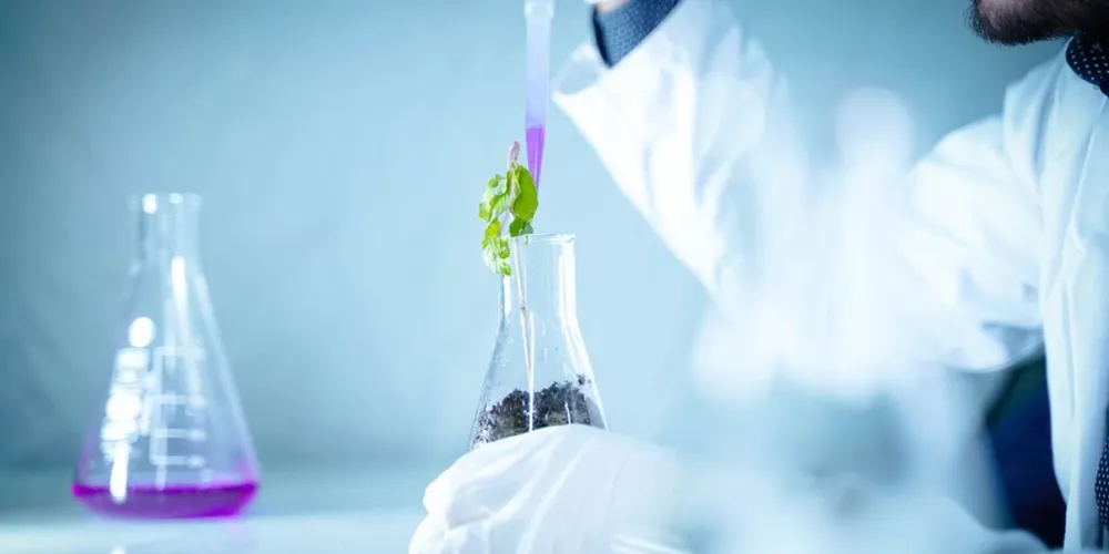 Aplicação de tratamento biológico em sementes serve para proteção de lavouras