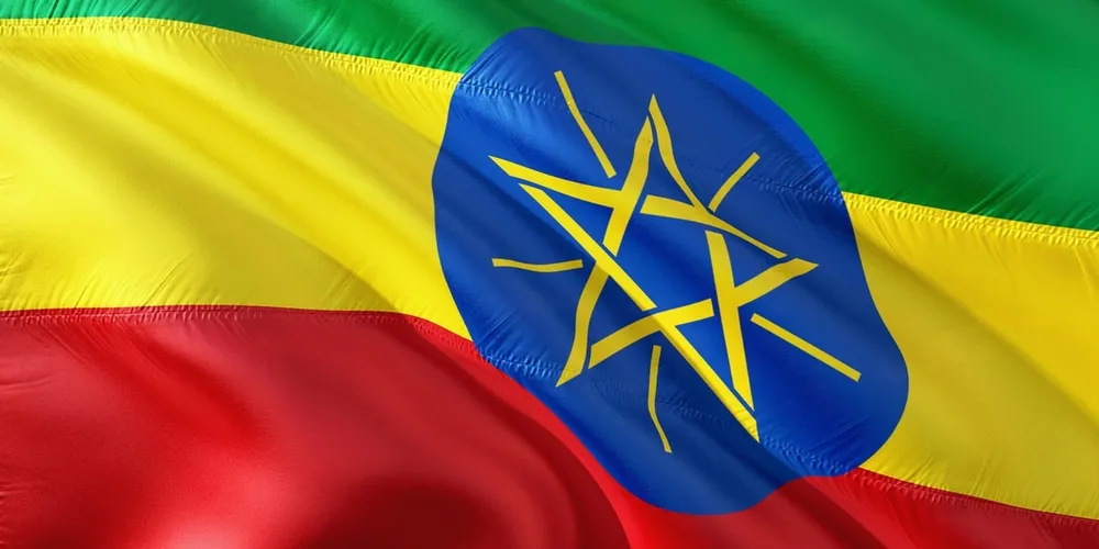 Carnes e ovos férteis brasileiros ganham espaço na Etiópia