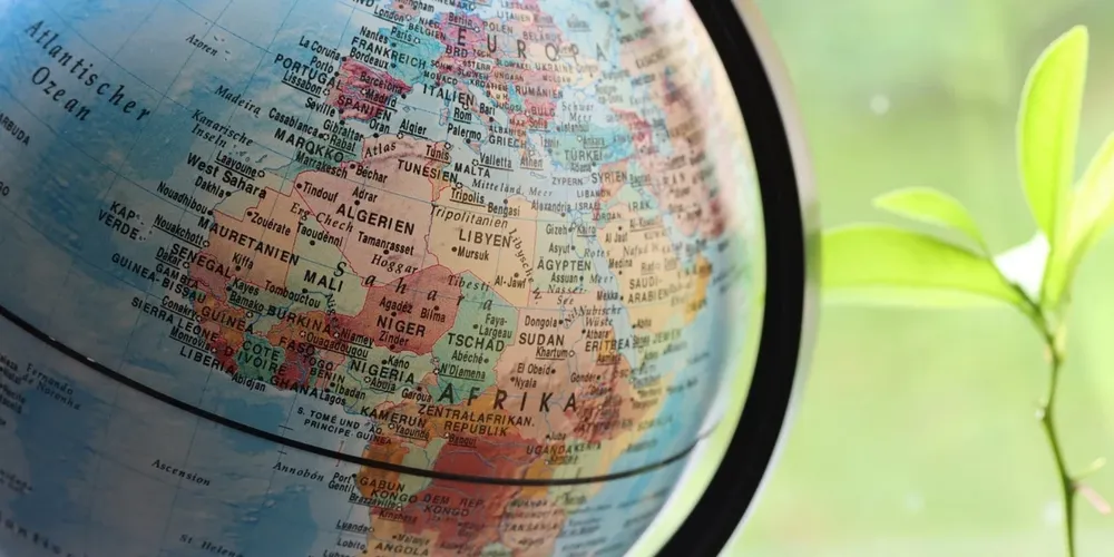 Brasil reforça sua posição como fornecedor global de genética bovina de alta performance, visando agora a expansão do rebanho em Ruanda