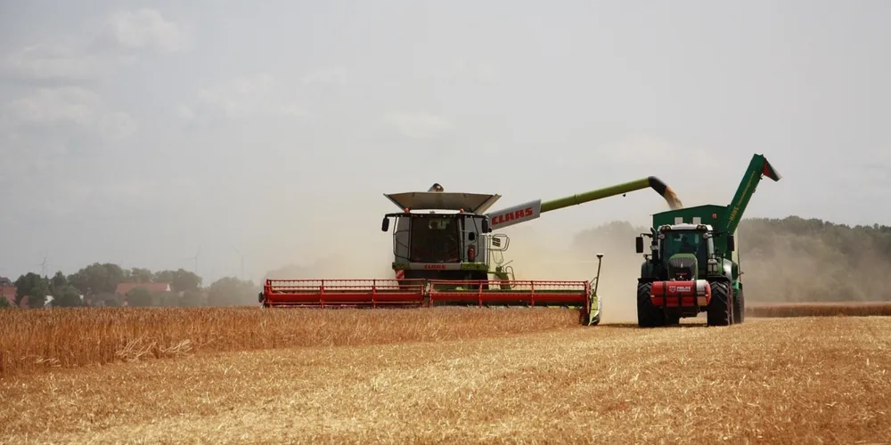 Produtividade recorde da soja compensa a redução de área em outras culturas e sustenta o crescimento do agronegócio brasileiro em 2026